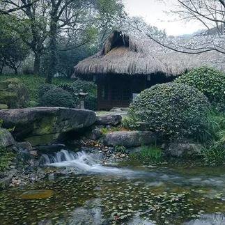 听雨