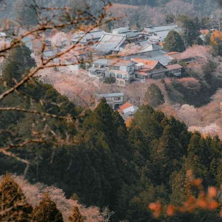 英语文案