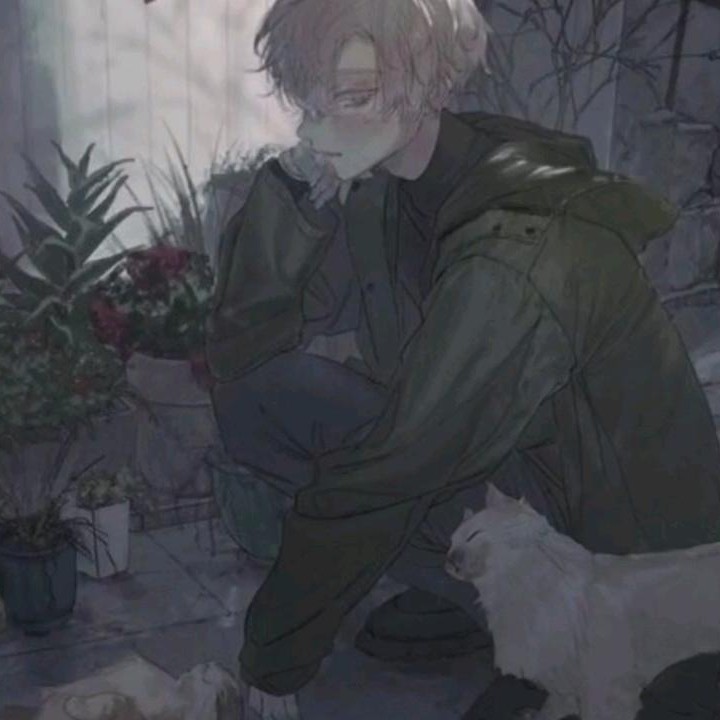 愿耽