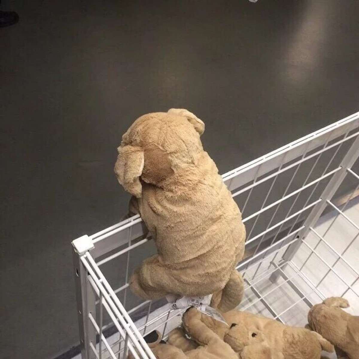 抑郁