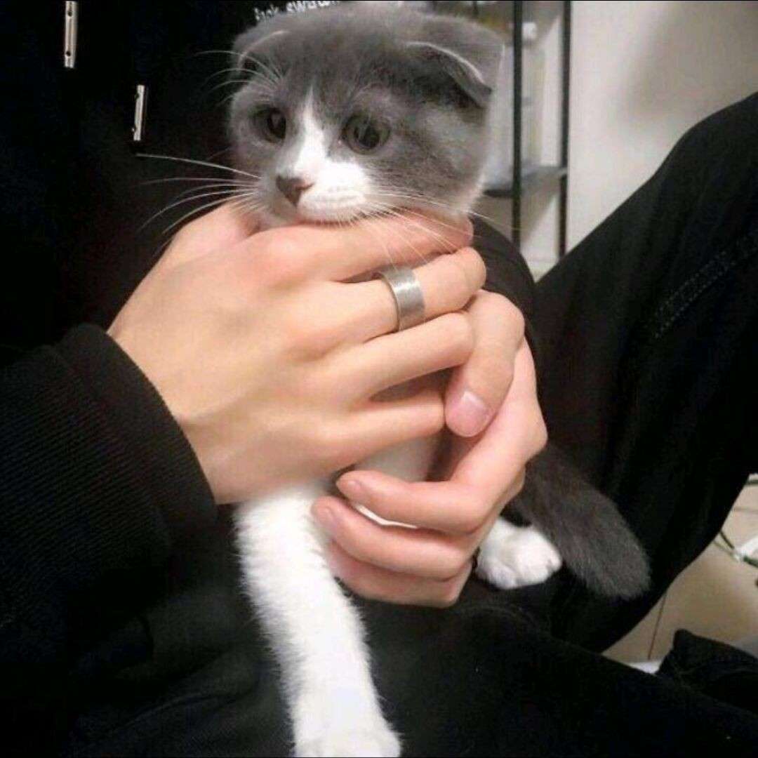 月亮