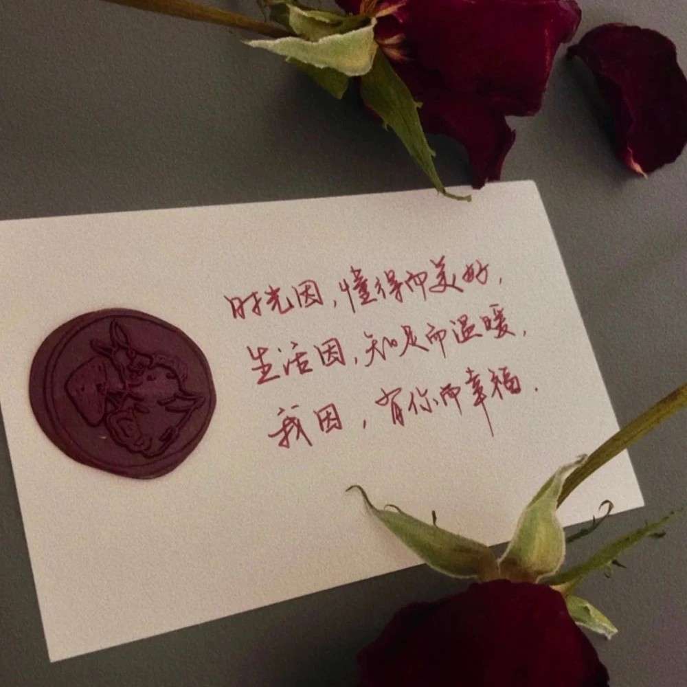 追星语录⭐