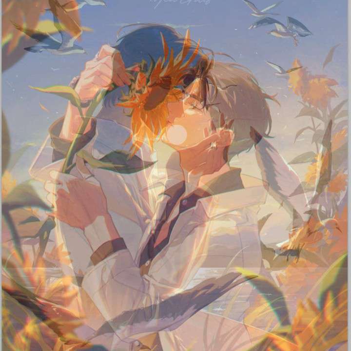 YD