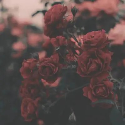 我在惊悚游戏里封神