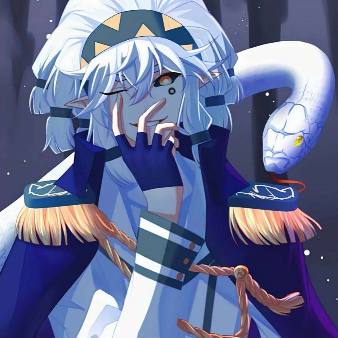 养狗的帕美人