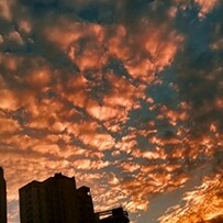 南望的专辑