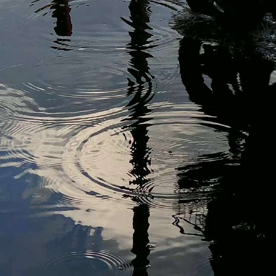雨