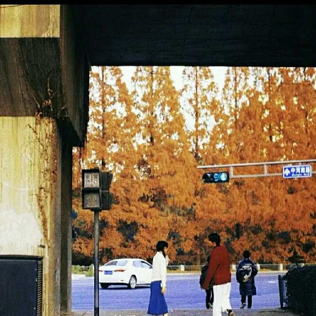 我与地坛