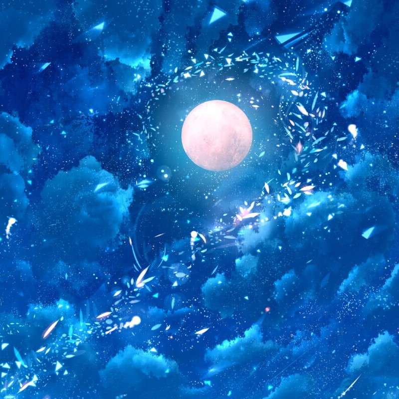 W.吴
