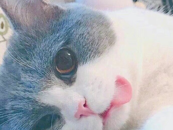 家乡