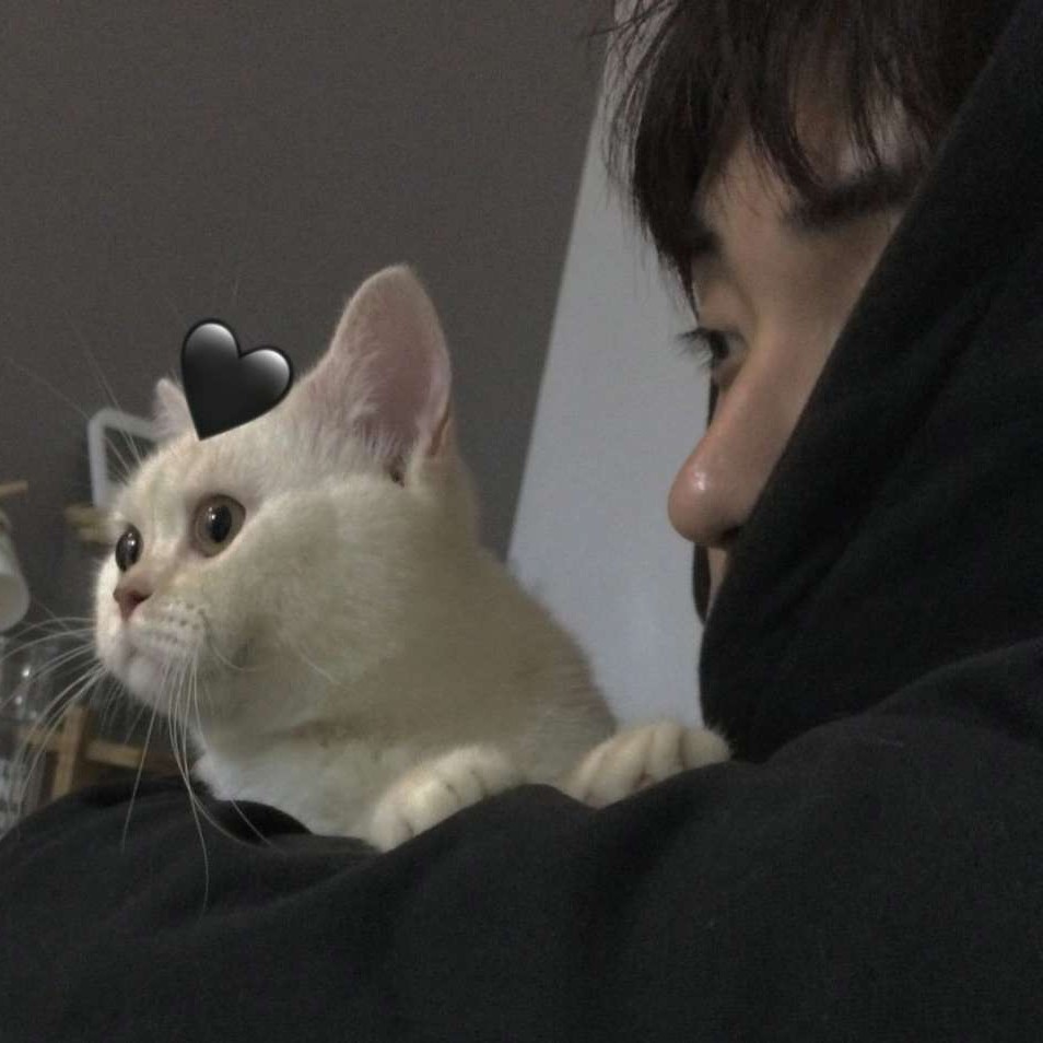 摘抄