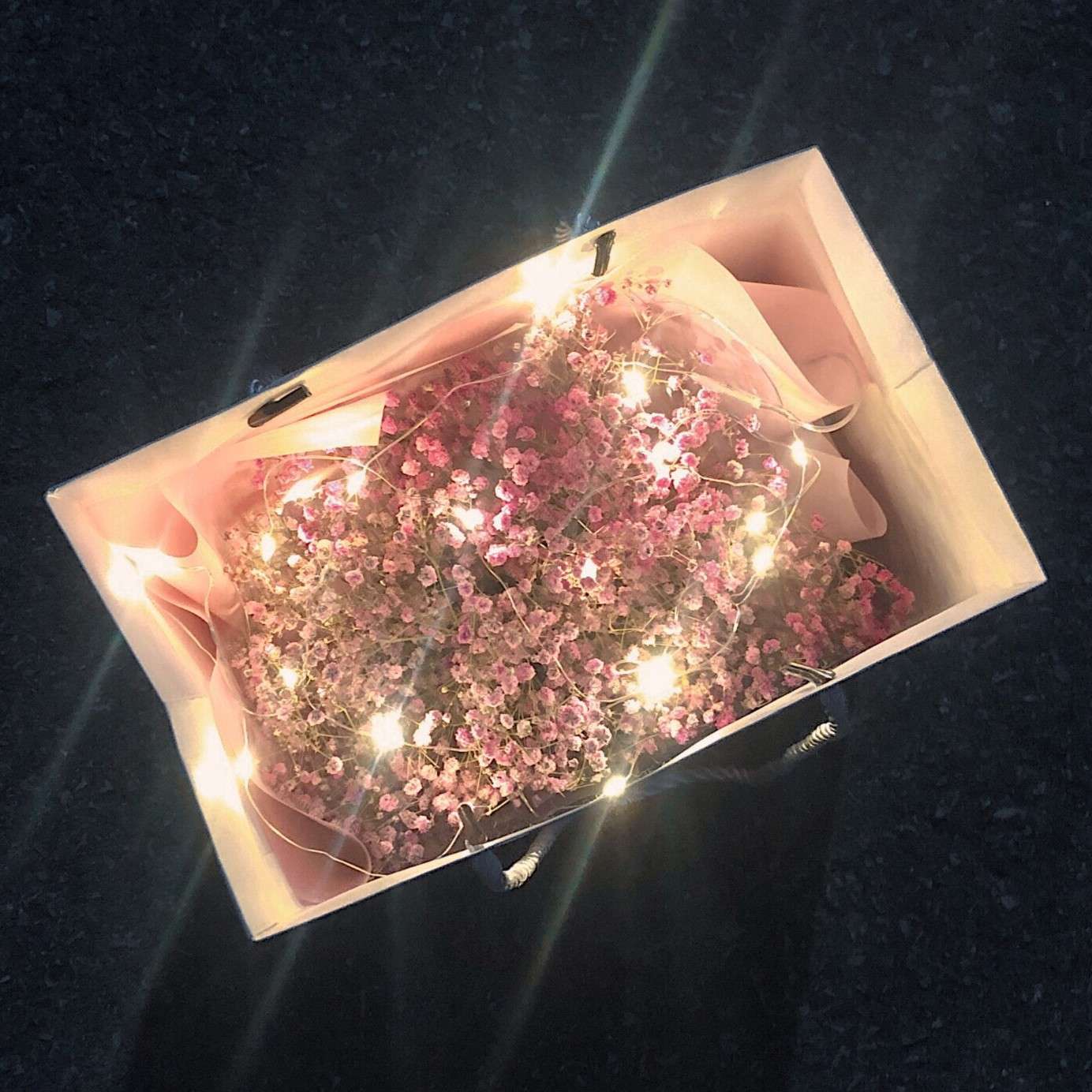 花与梦