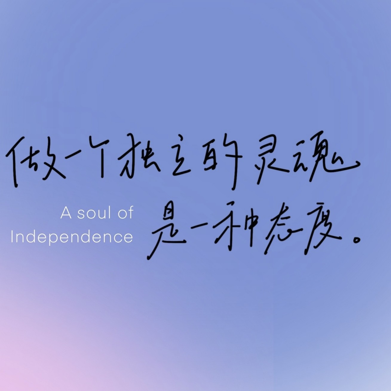 我的专属