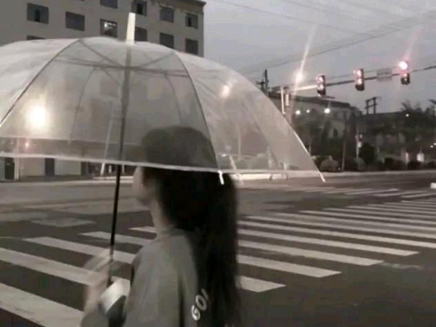 辞真的努力了