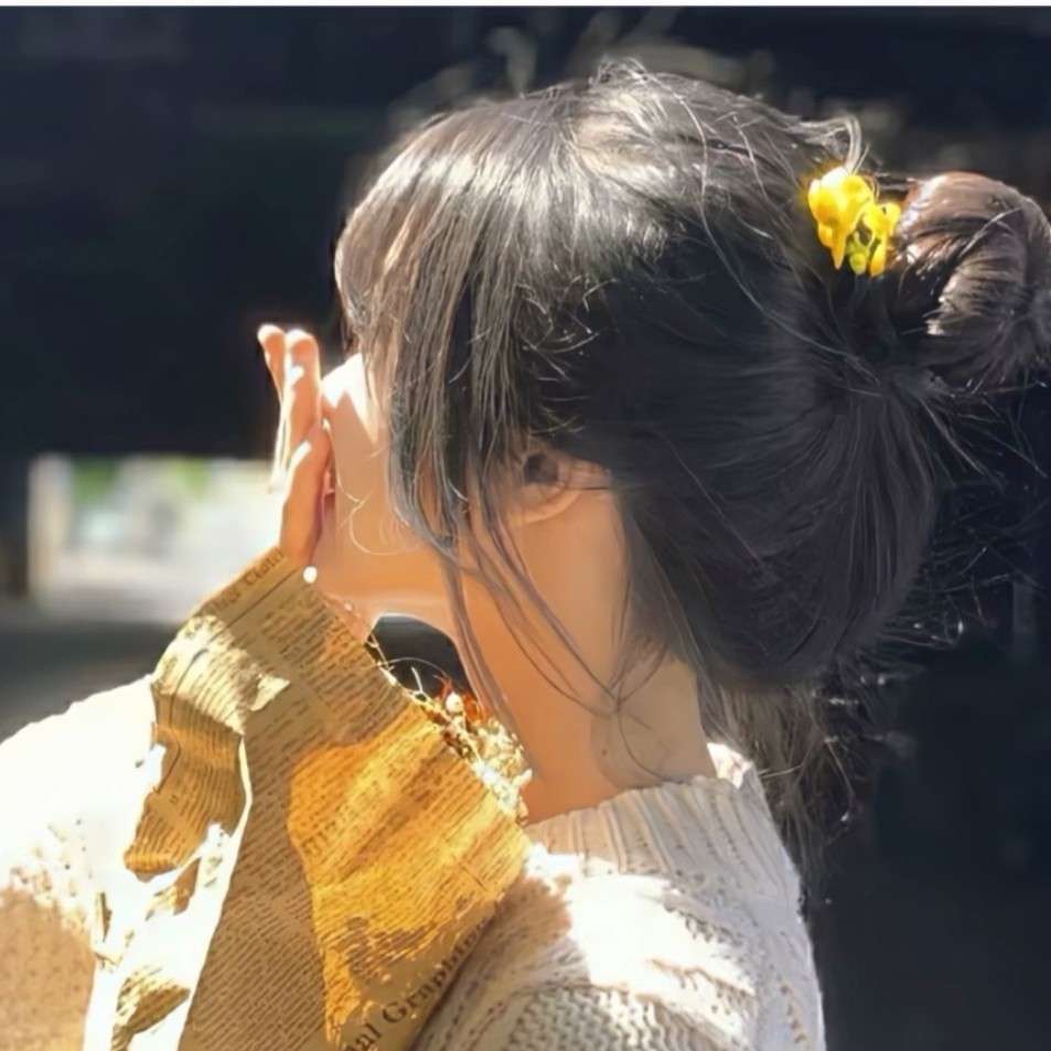 叶隙间撒落的阳光的专辑