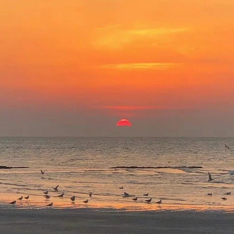 景（夕阳）