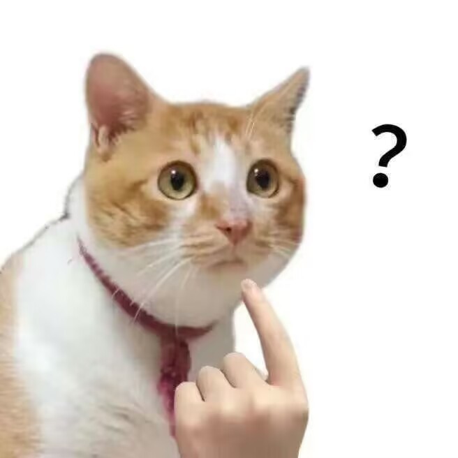 黎伐的专辑