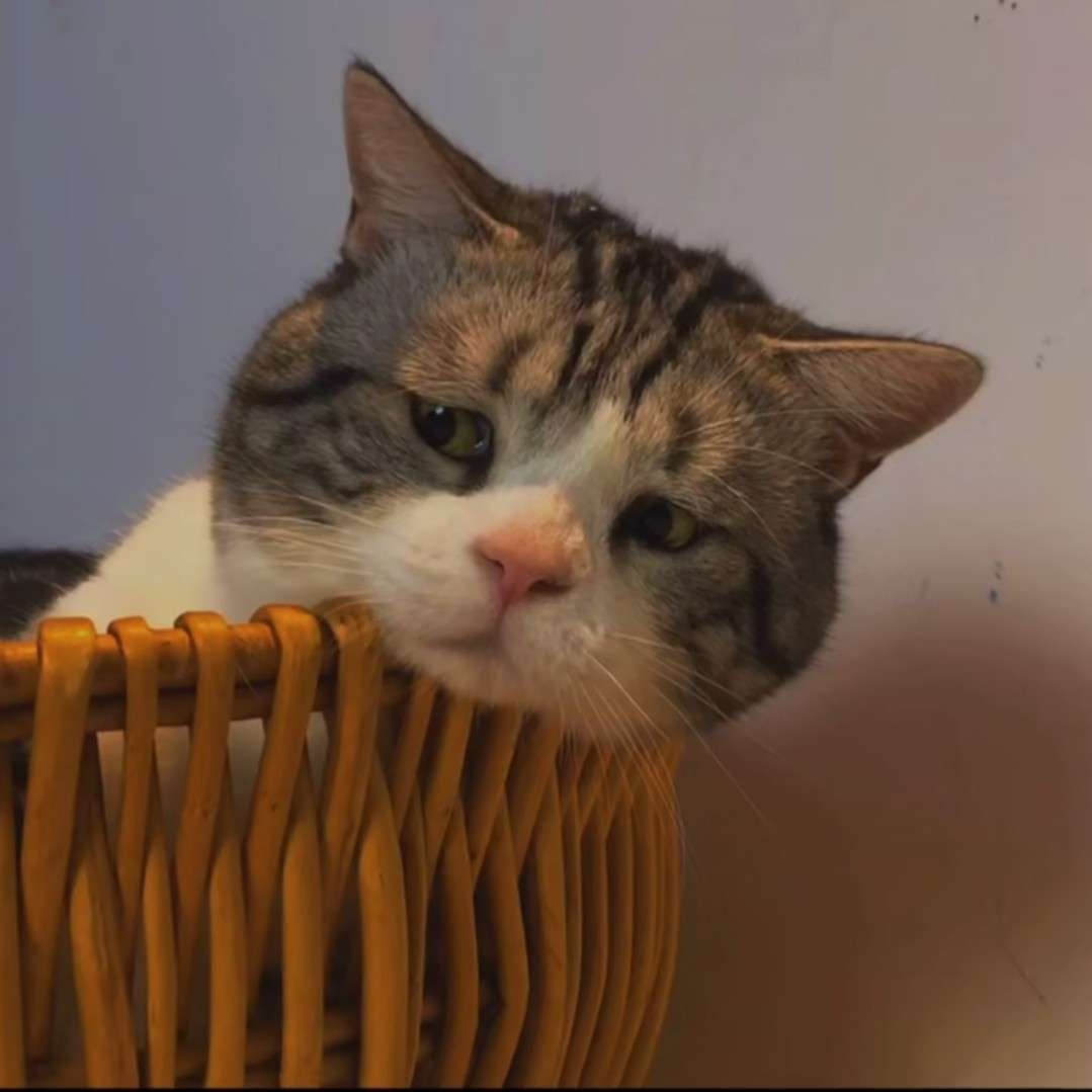 随笔