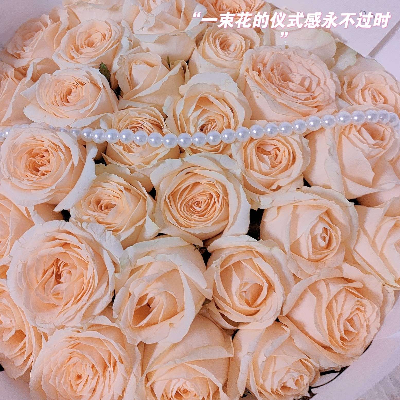 朝暮的专辑