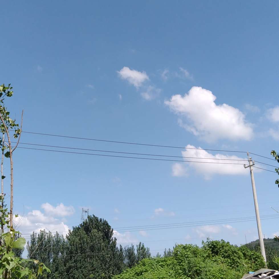 大佬怎么还不逃
