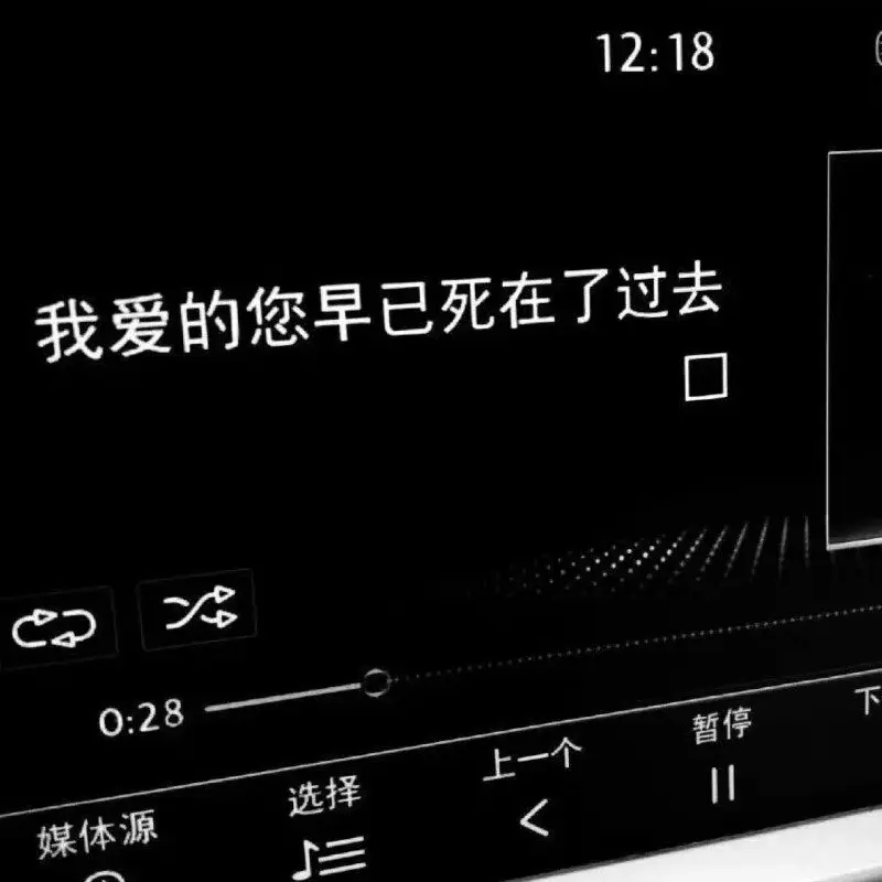 txl句子