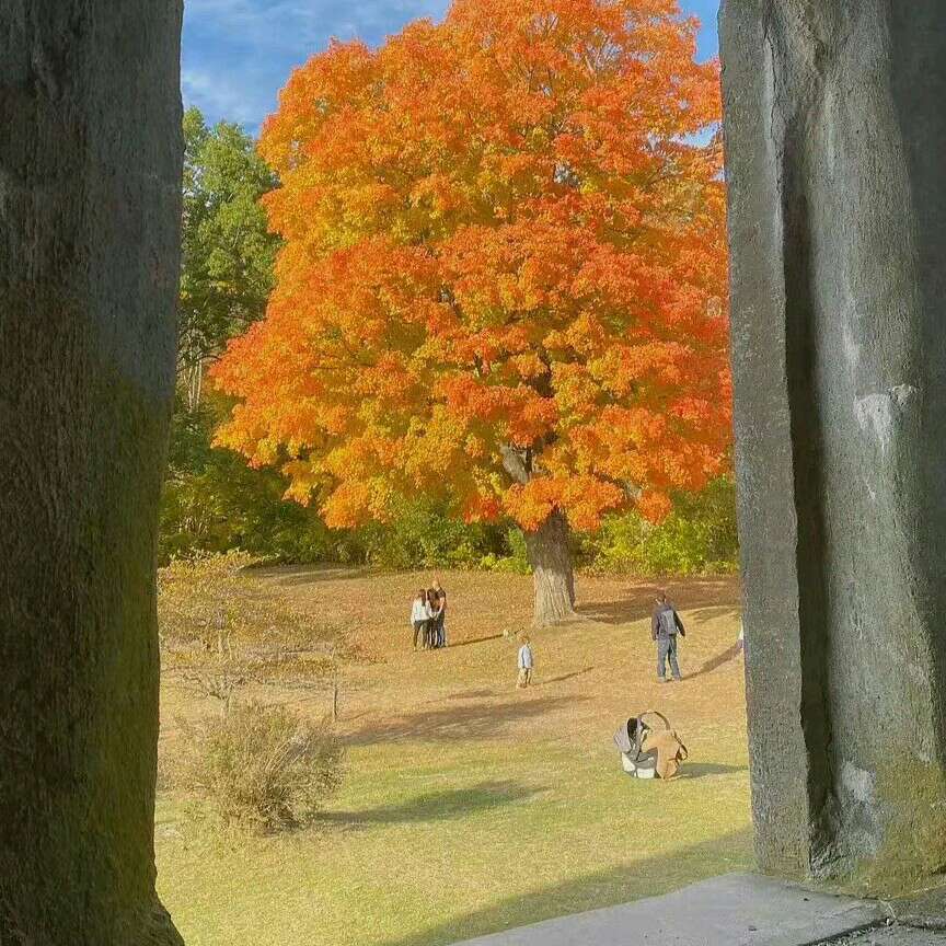 自愈系