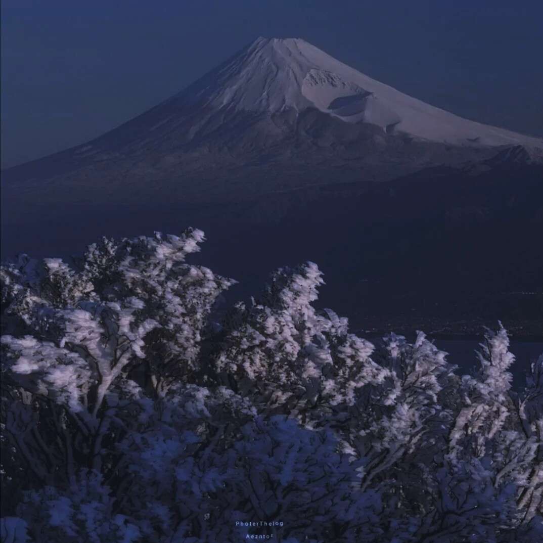 田田的毕业季