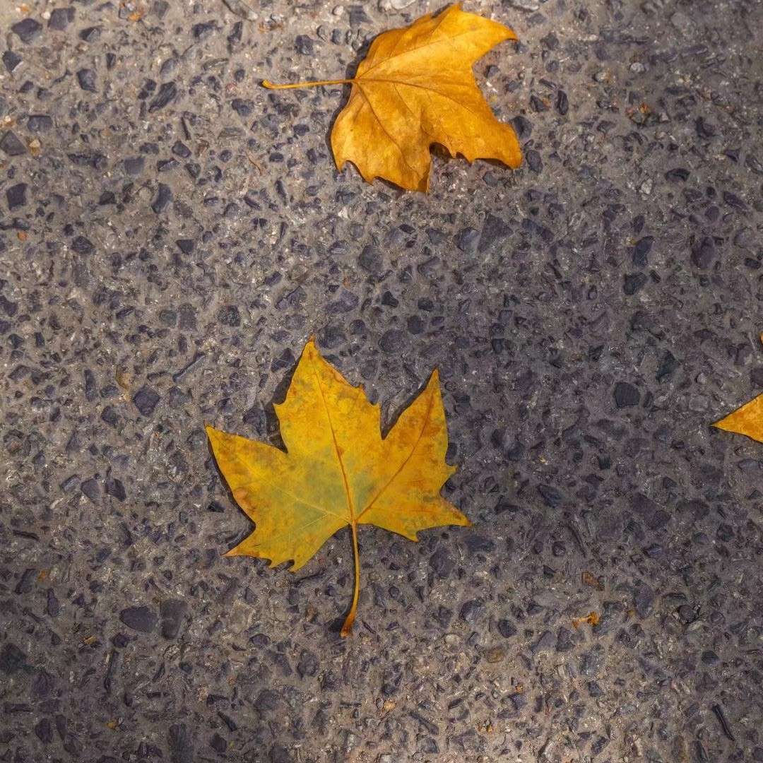 一路狂奔