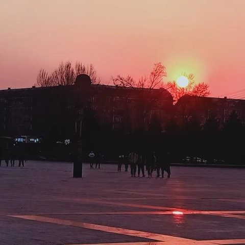 土味情话