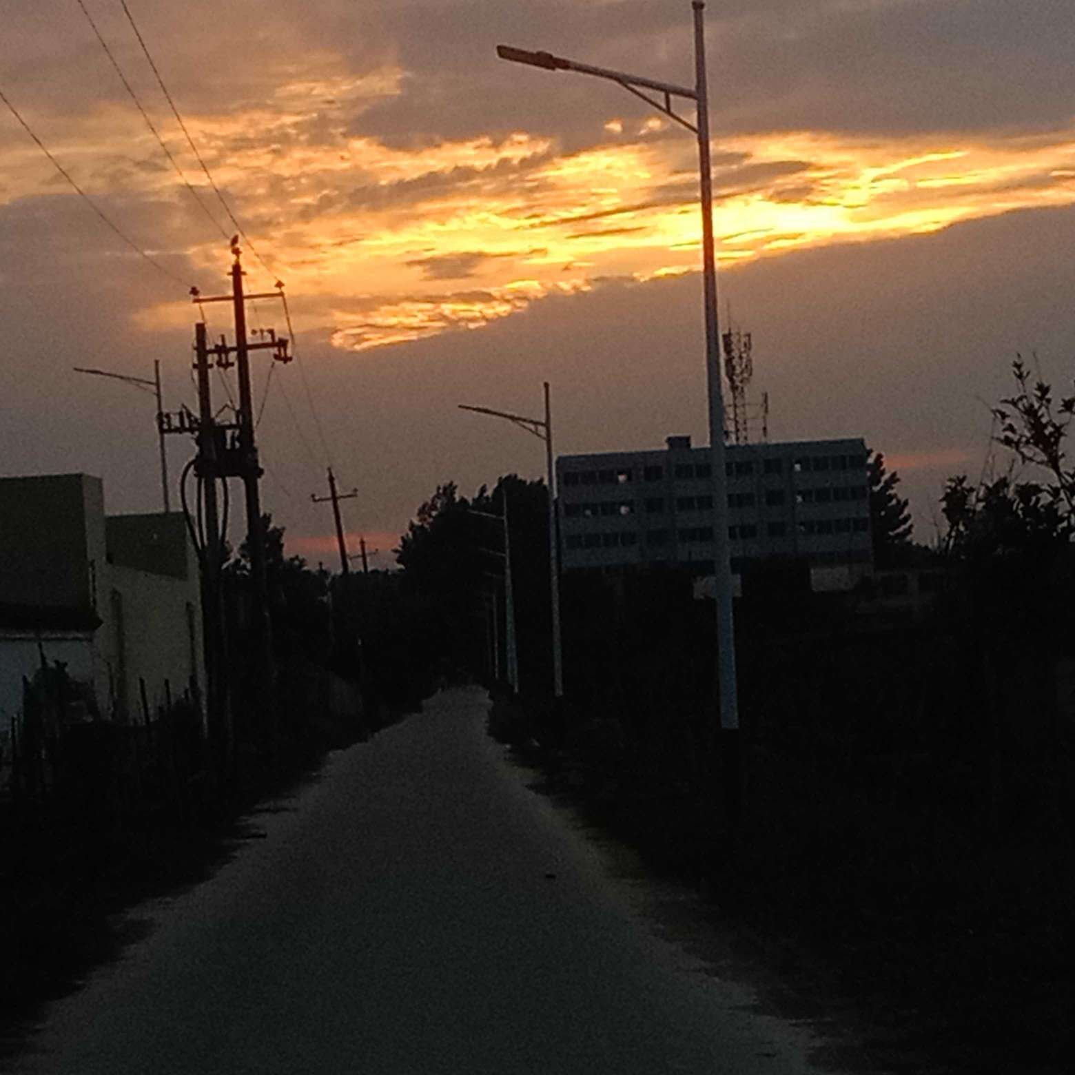 我的专辑