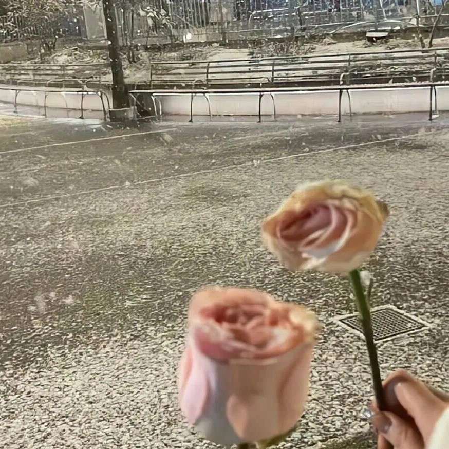 情感