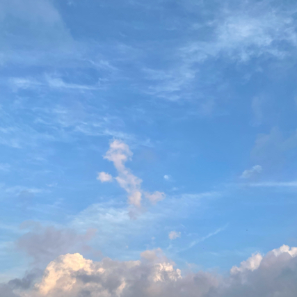 耳东免子
