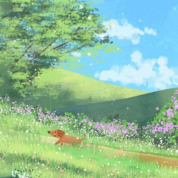 美