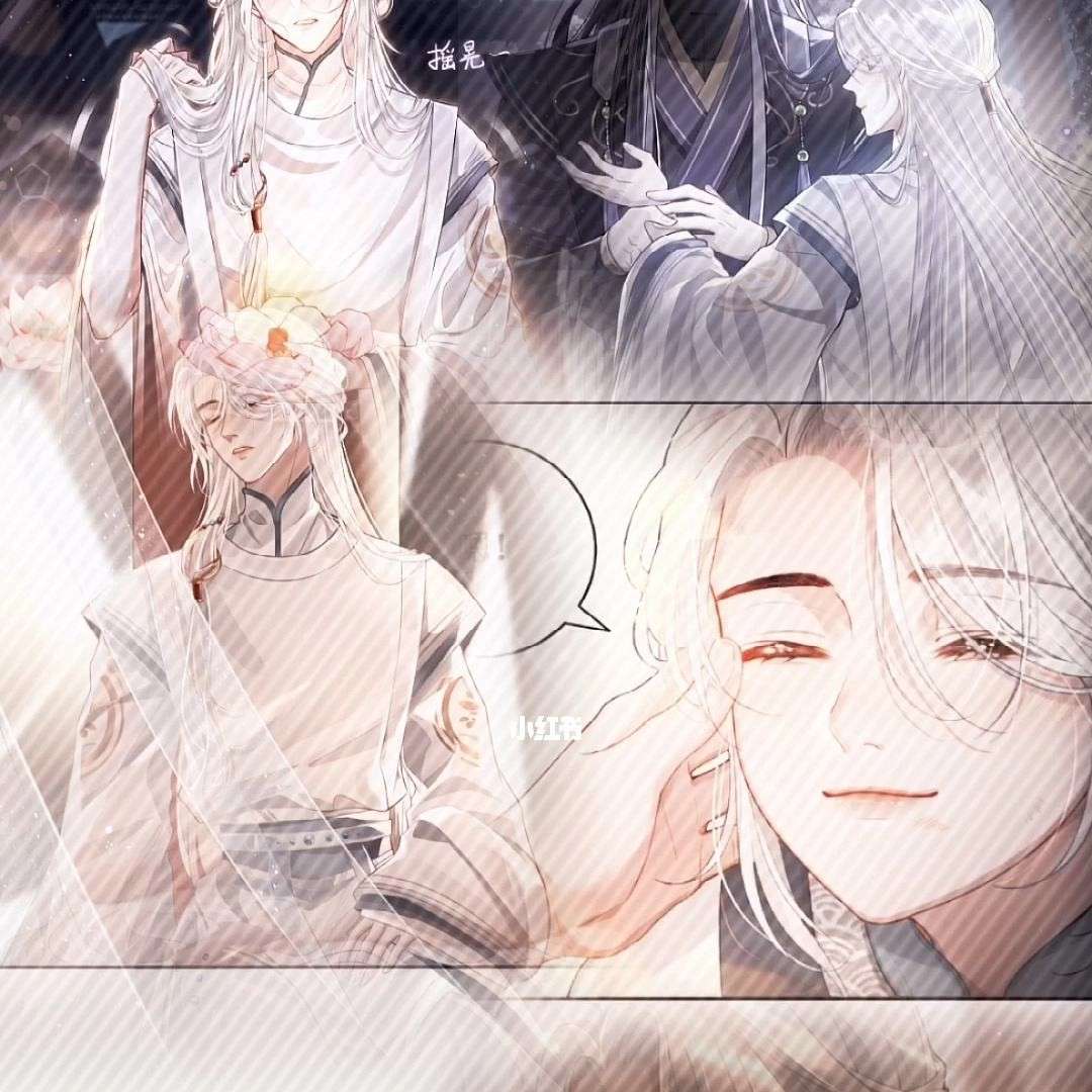 耽向星