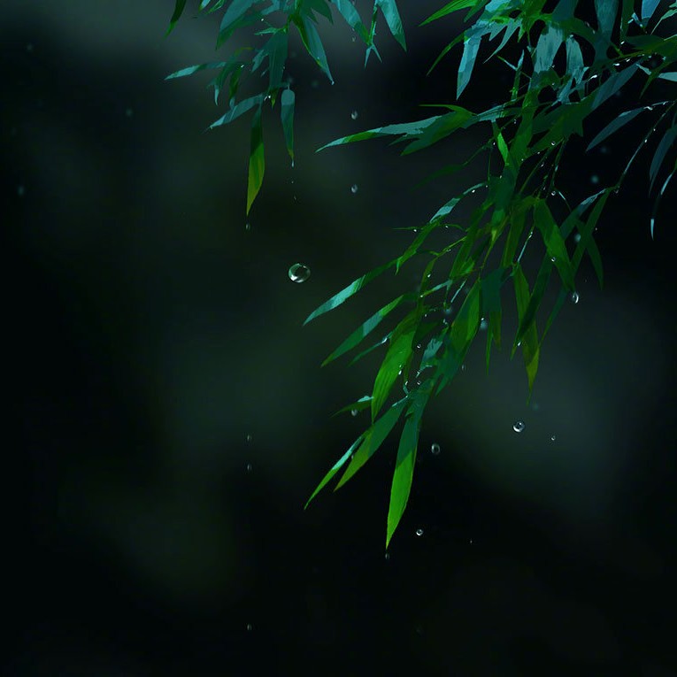 生活