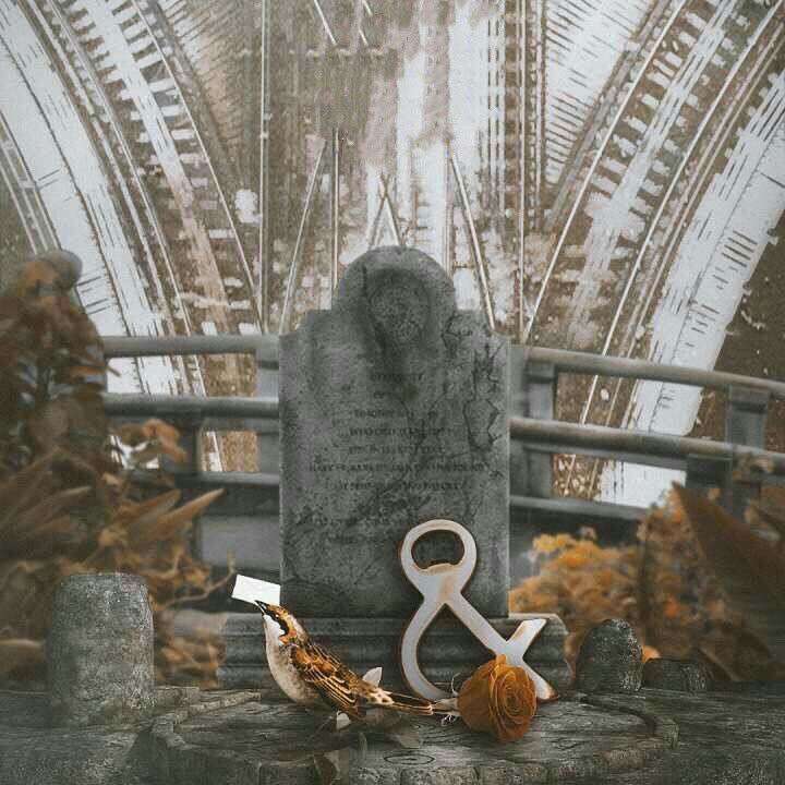 长洱&