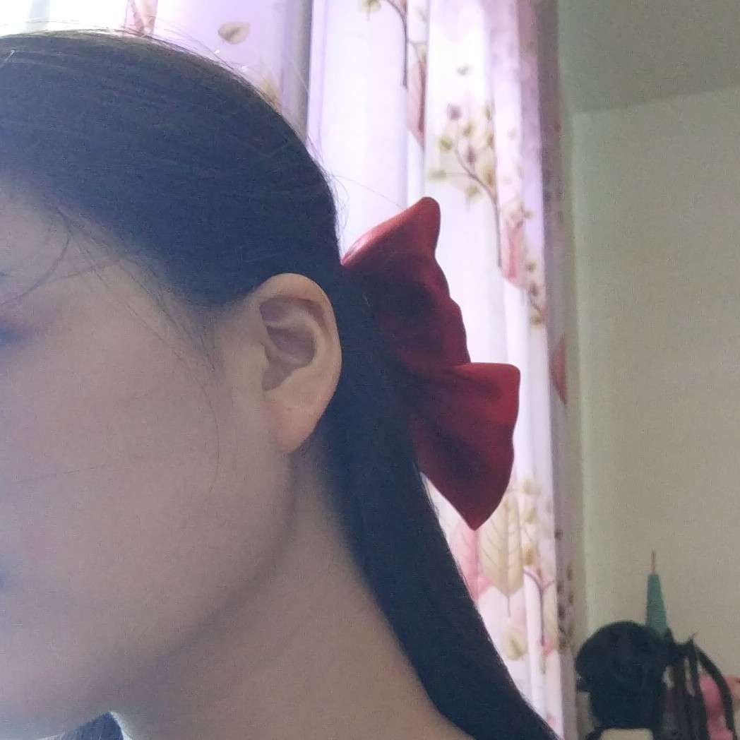 椿的专辑