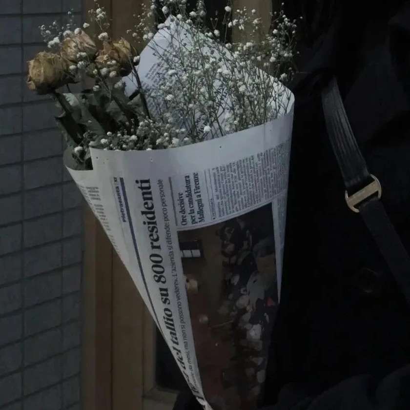 岁杪望舒的专辑