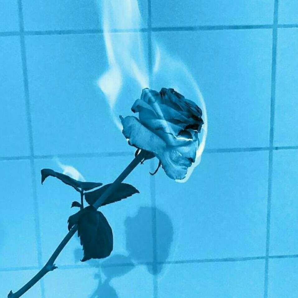 情愫