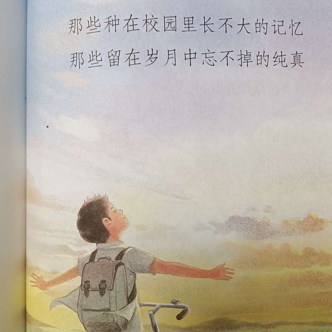 6年