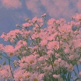 温柔的句子