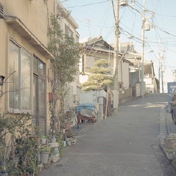 平淡才是真理