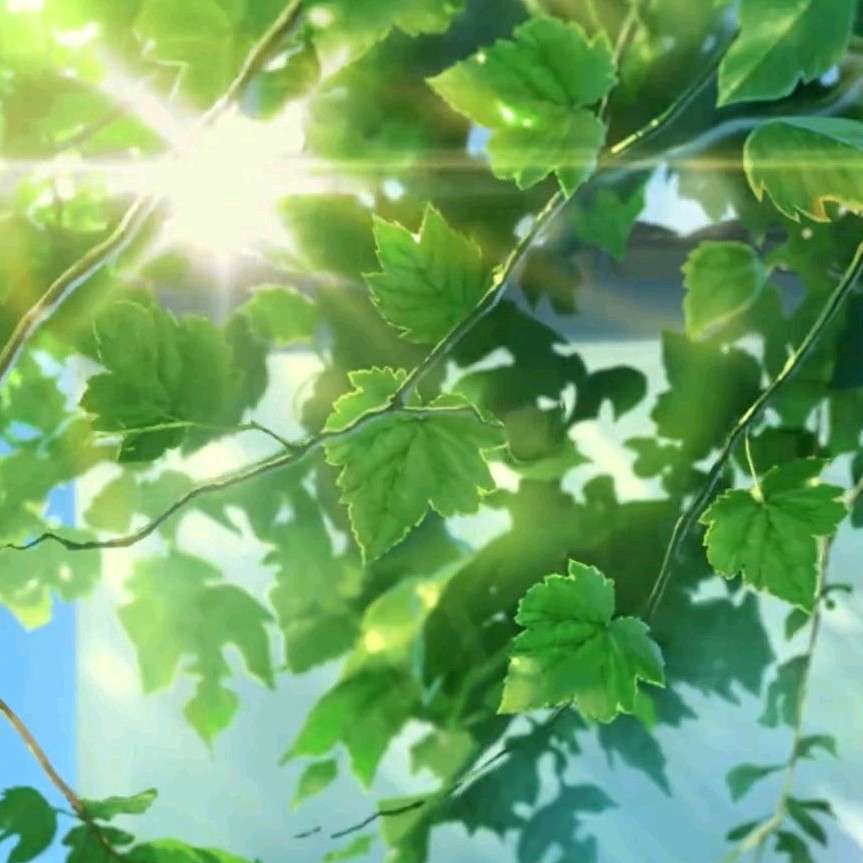 《原则底线》