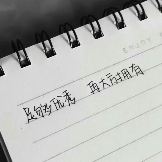 作文加分句子