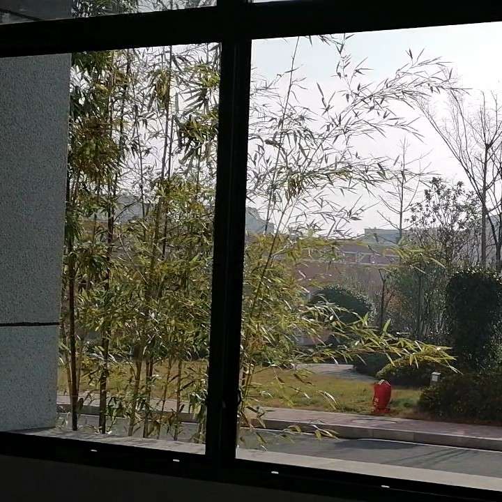 清