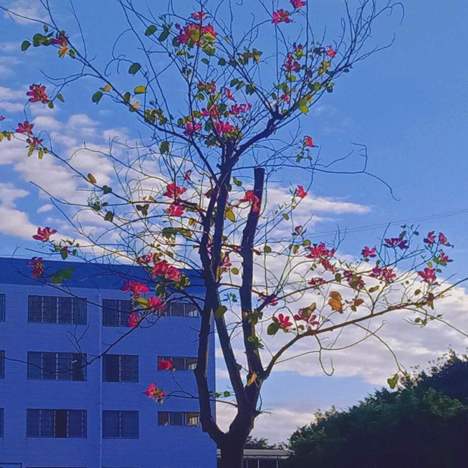 次元语录