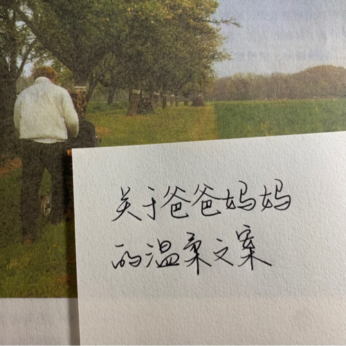 关于爱着我们的爸爸妈妈文案