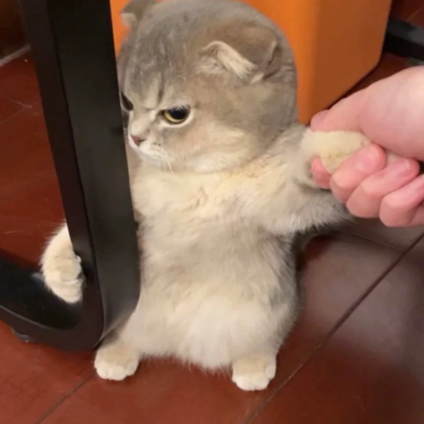 笑话
