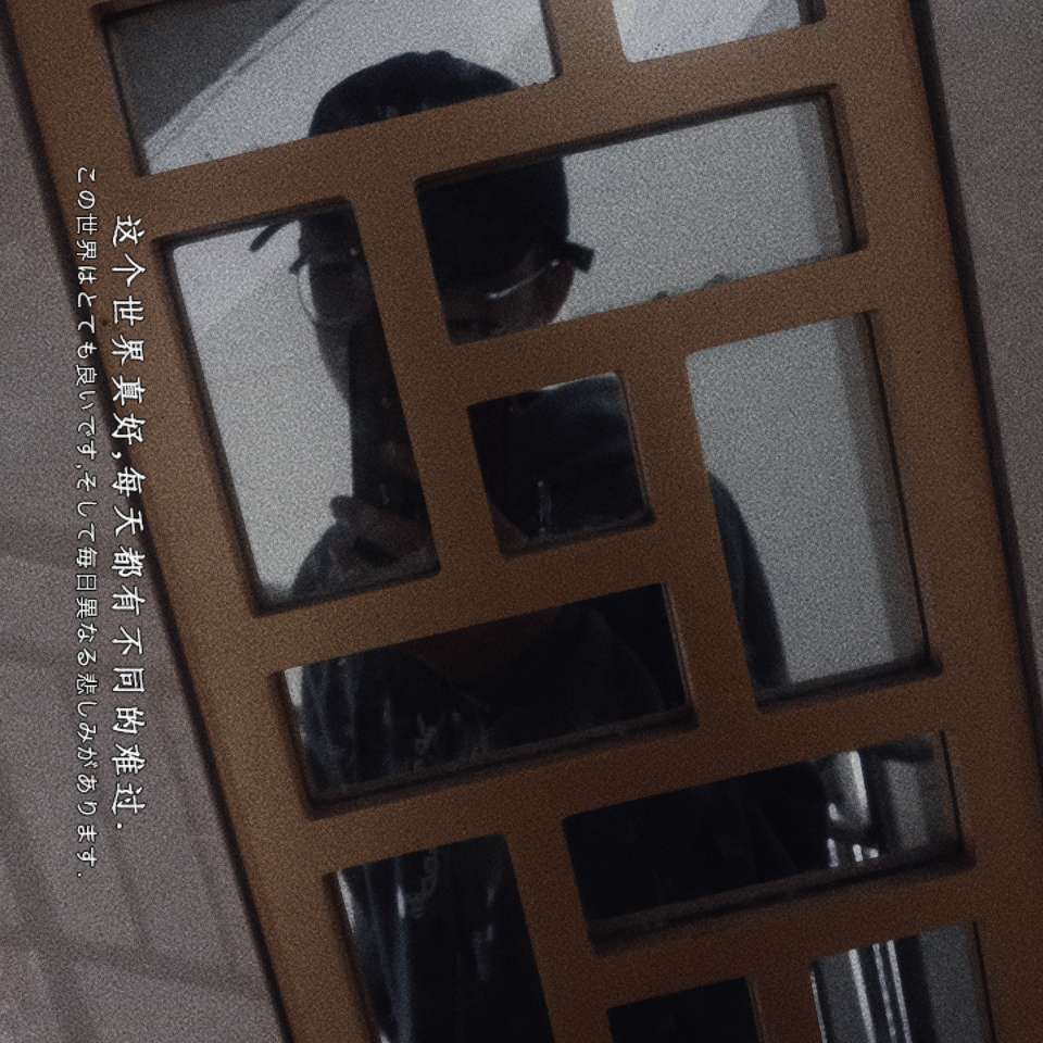 晚鲸的专辑