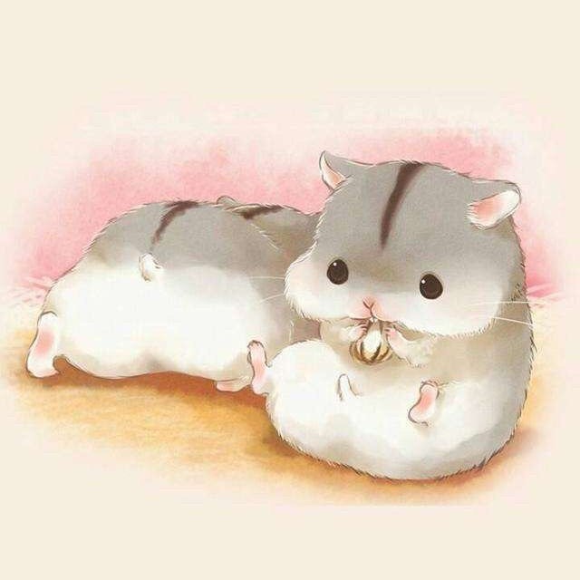 礼
